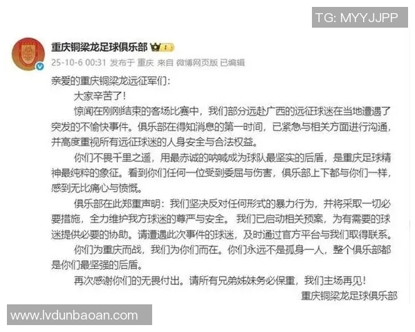 重庆羽毛球队力量争议引发热议球迷与专家各执己见探讨背后真相